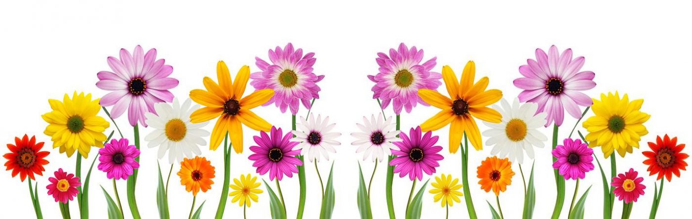 Summer Plant Sale
